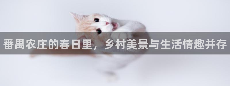 天辰娱乐-18113