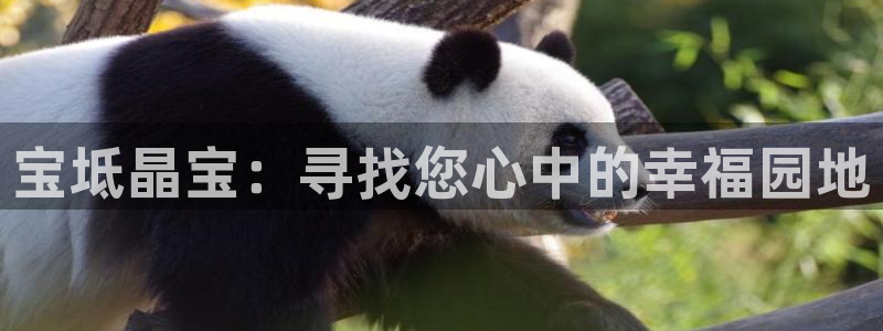 天辰娱乐黑人