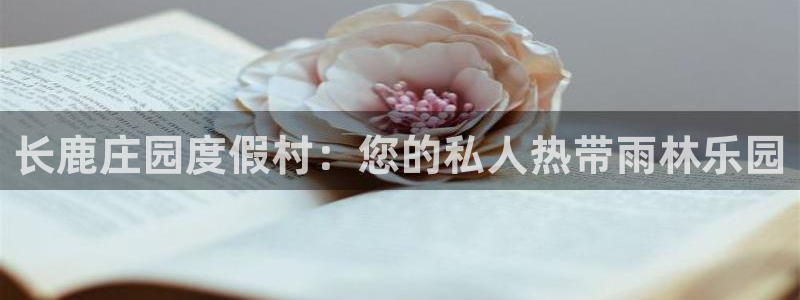 天辰娱乐官方