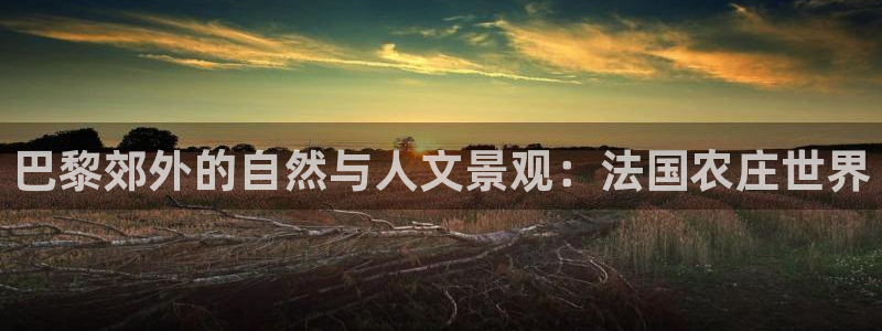 天辰娱乐1956