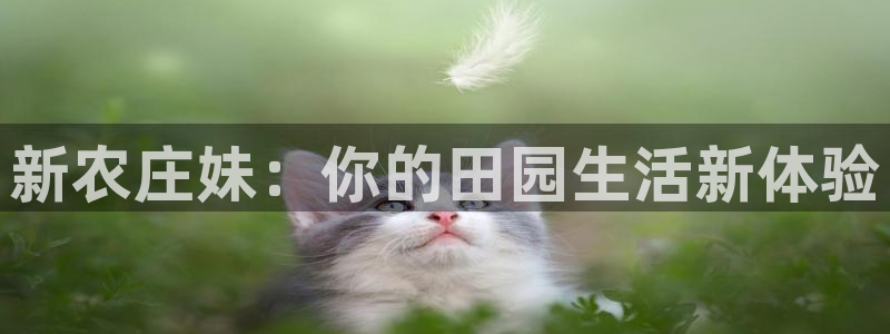 天辰娱乐官网平台入口