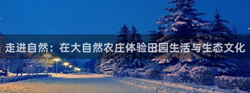 天辰娱乐675138