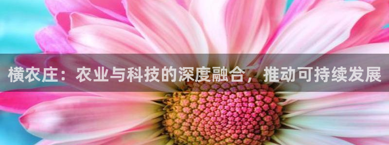 天辰娱乐下载