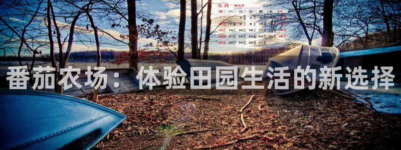 天辰娱乐官网平台下载