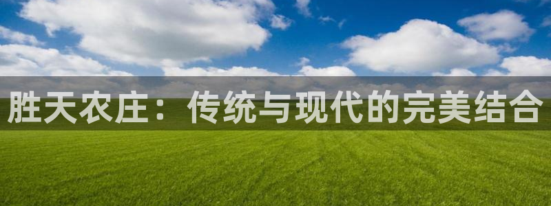 天辰娱乐入口