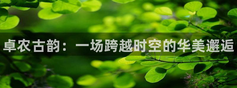 天辰娱乐游戏