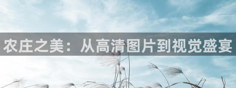 天辰娱乐 天辰平台