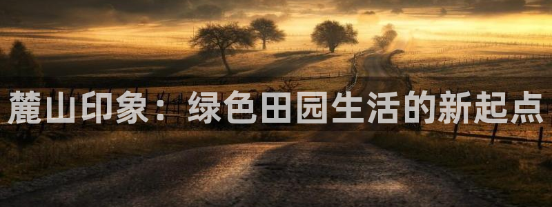 天辰娱乐在哪