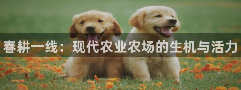 天辰娱乐53551