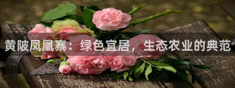 天辰娱乐APP下载