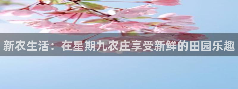 天辰娱乐app