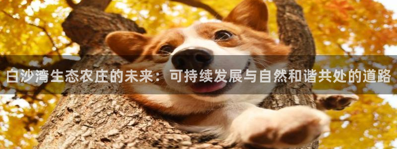 天辰娱乐平台入口