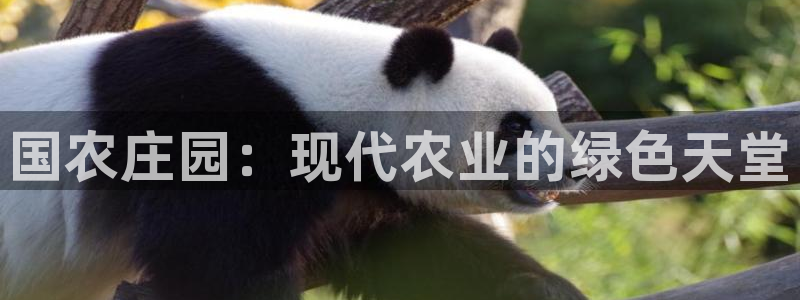 天辰娱乐885544