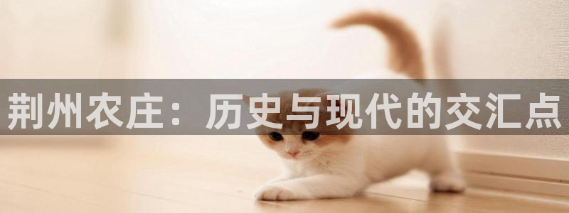 手机上怎么下载天辰娱乐