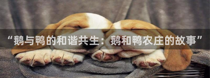 天辰娱乐平台app下载