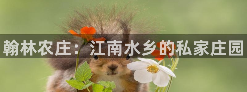 天辰娱乐天辰注册登录