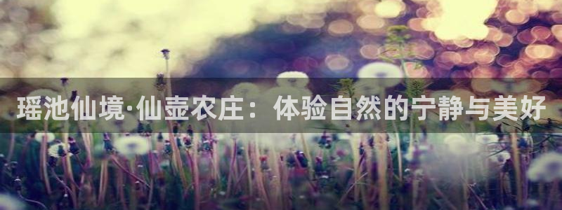 天辰娱乐游戏平台怎么样