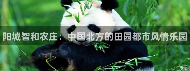 天辰娱乐电话