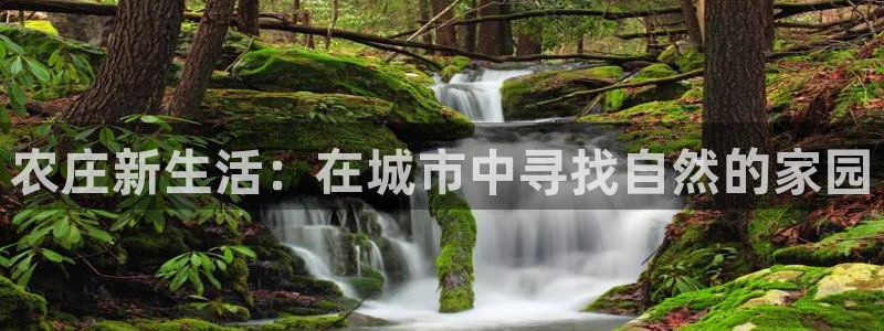 天辰娱乐平台靠谱么