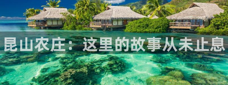 天辰娱乐视频