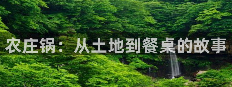 天辰娱乐软件