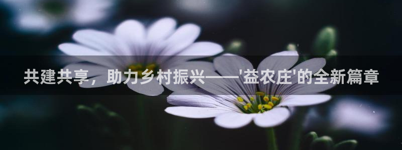 天辰娱乐84566