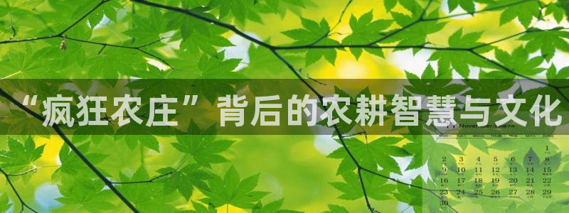 天辰娱乐内部