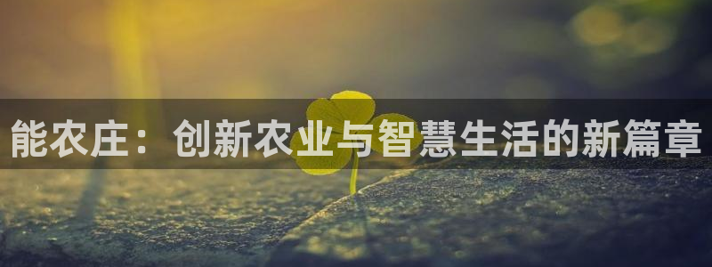 天辰娱乐ttf