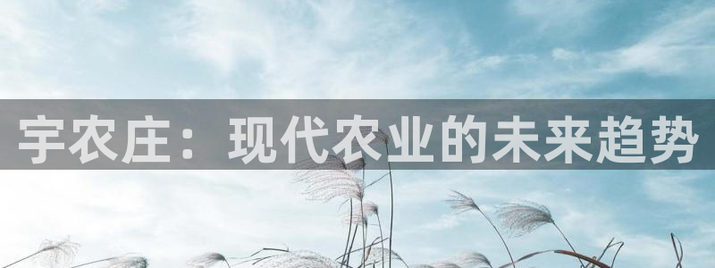 天辰娱乐_675138