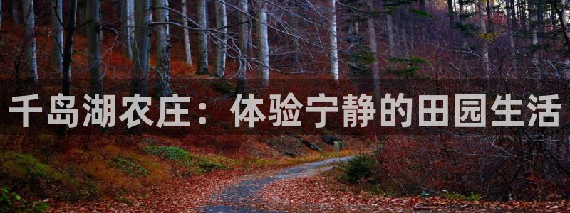 天辰娱乐电话