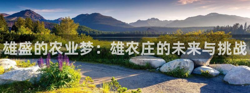 天辰娱乐481928