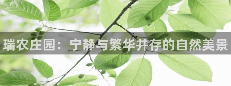 天辰娱乐娱乐平台
