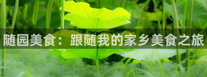 天辰娱乐平台注册