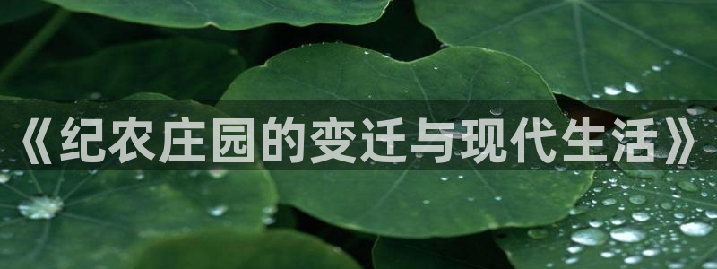 集宁天辰娱乐