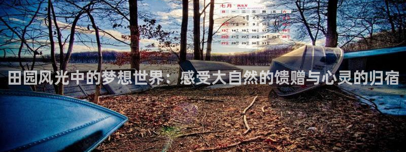 天辰娱乐官网平台下载