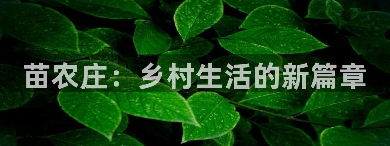 天辰娱乐平台娱乐注册