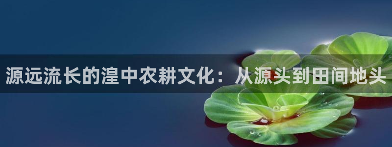 天辰娱乐登陆