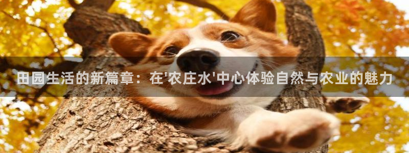 天辰娱乐海洋