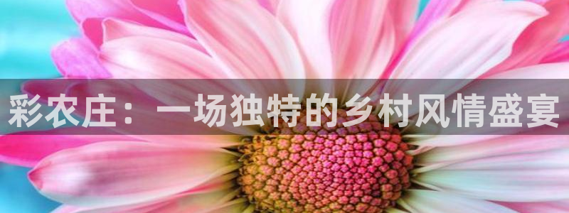 天辰娱乐 849852