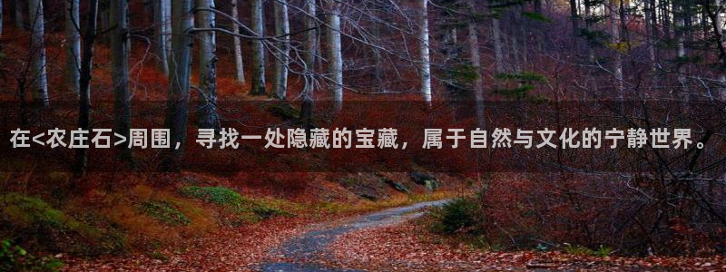 天辰娱乐51137