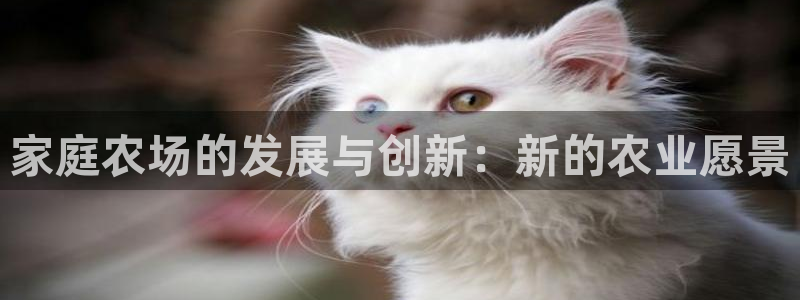 天辰娱乐 天辰平台