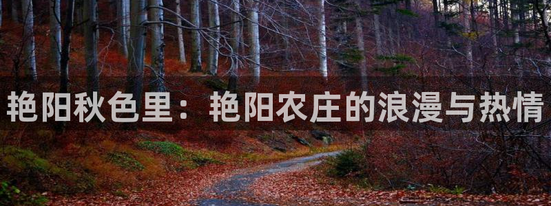 天辰娱乐解封