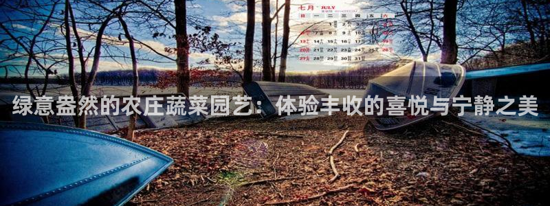 天辰娱乐小姐