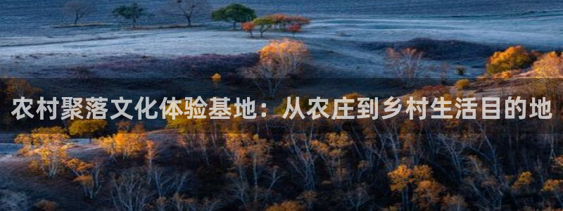 天辰娱乐 . 鱼刺