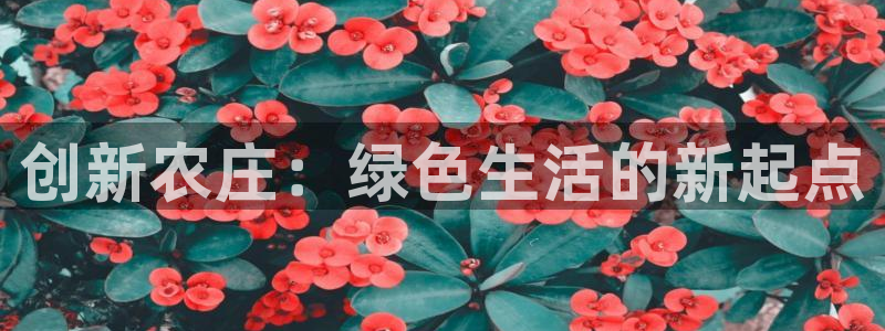 天辰娱乐小姐