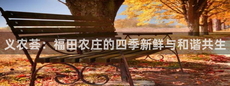 天辰娱乐的网址首页