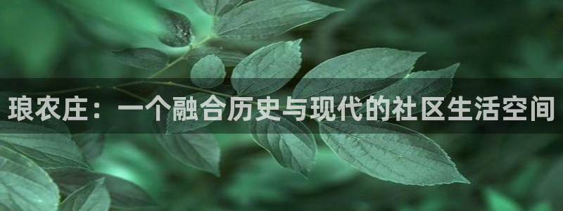 大同天辰娱乐