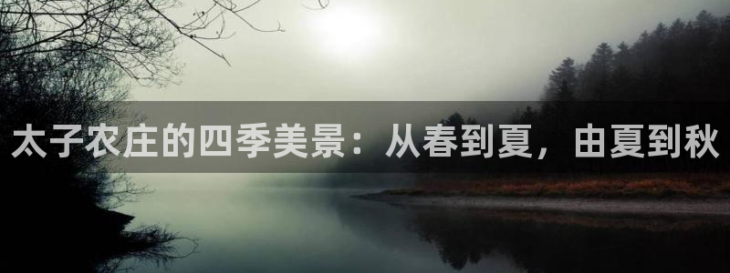 天辰娱乐_675138