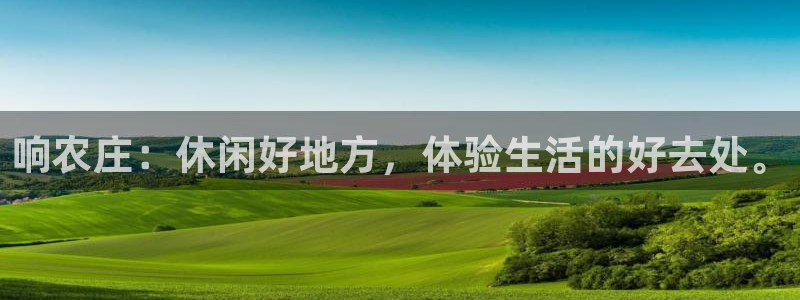 天辰娱乐股票