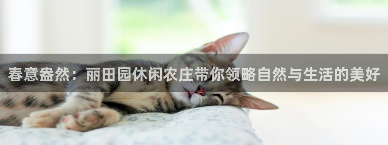 天辰娱乐app